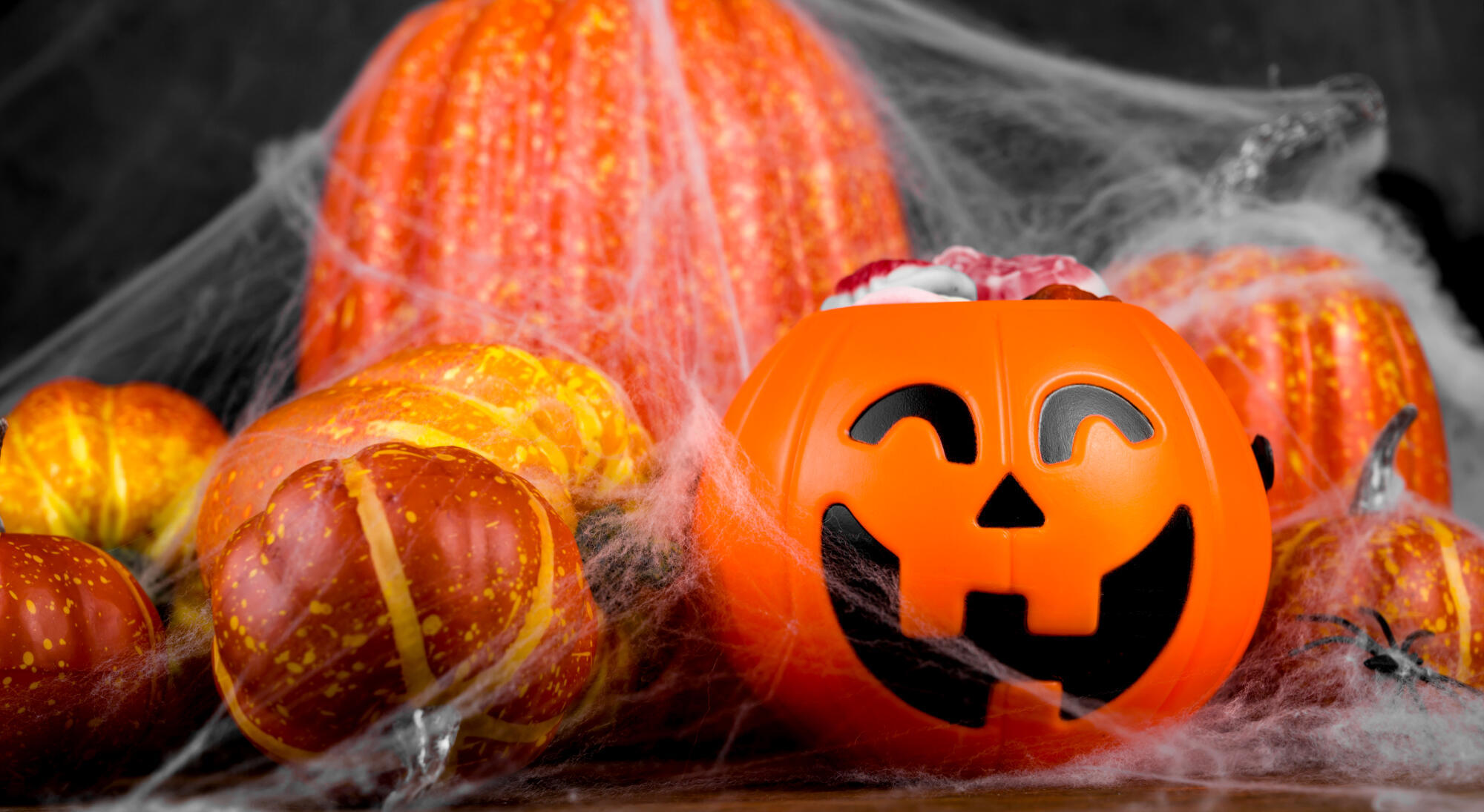 Fun Halloween Activities for Seniors in Cambridge, OH